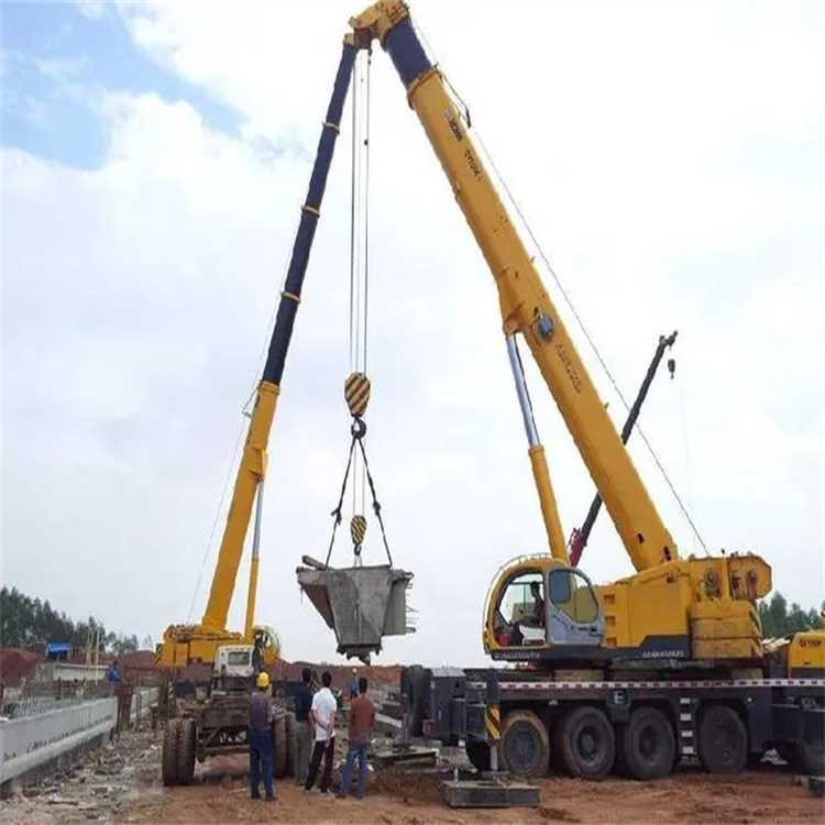 樟树小型吊机出租电话|厂房设备吊装方案|24小时服务覆盖